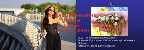 дмт Вязьма
